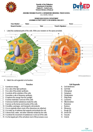 interactive worksheets and online exercises in english topworksheets