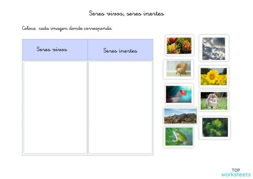 Seres vivos seres inertes. Ficha interactiva | TopWorksheets