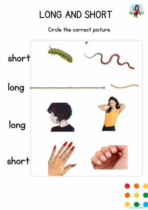 LONG AND SHORT. Interactive worksheet | TopWorksheets