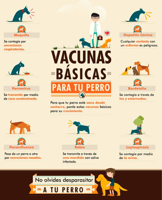 Guía estudio Español tercer trim. Ficha interactiva TopWorksheets