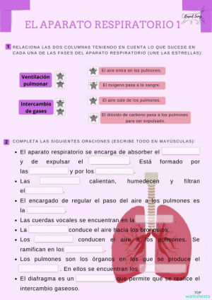 El aparato respiratorio y sus partes . Ficha interactiva | TopWorksheets
