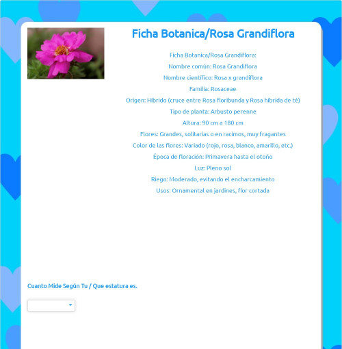 Ficha Botanica/Rosa Grandiflora. Ficha interactiva | TopWorksheets