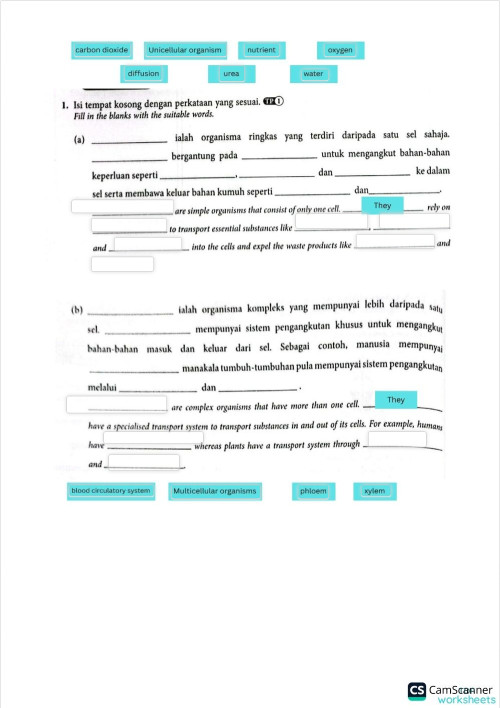 Secondary school: interactive worksheets and online exercises ...
