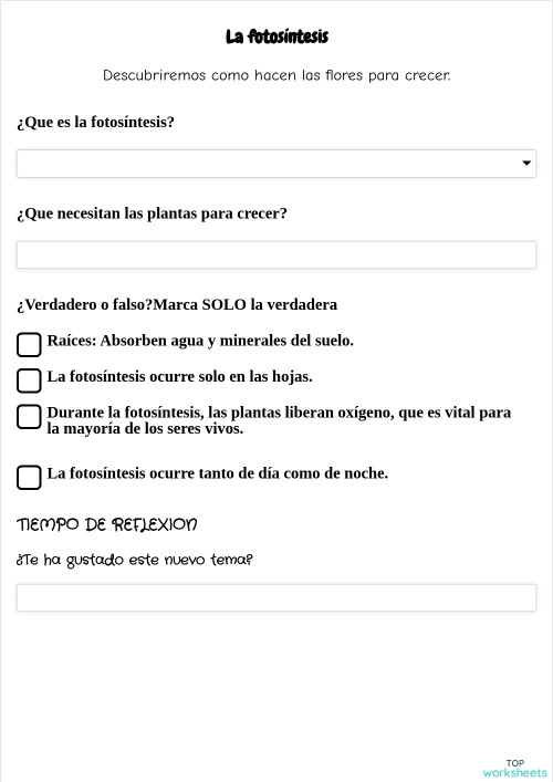La fotosíntesis: fichas interactivas y ejercicios online | TopWorksheets