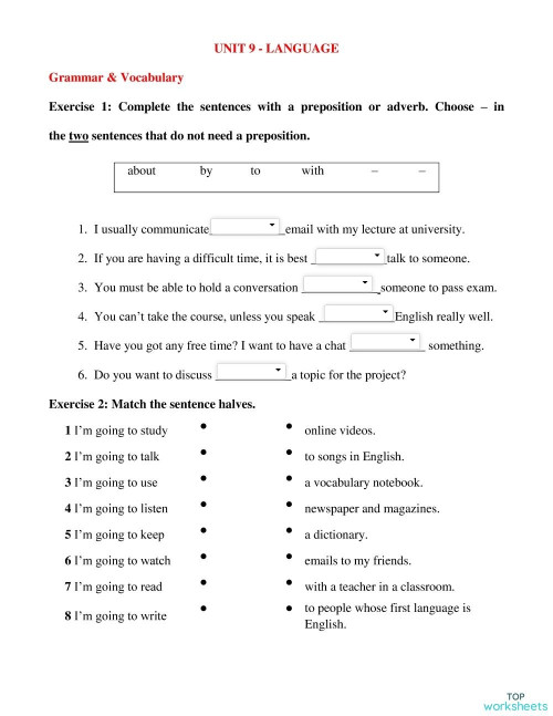 Unit 9 Language Vocabulary And Grammar Interactive Worksheet