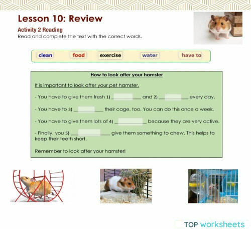 Access 6 - T3 - U8 - L10 - Act 2. Interactive worksheet | TopWorksheets
