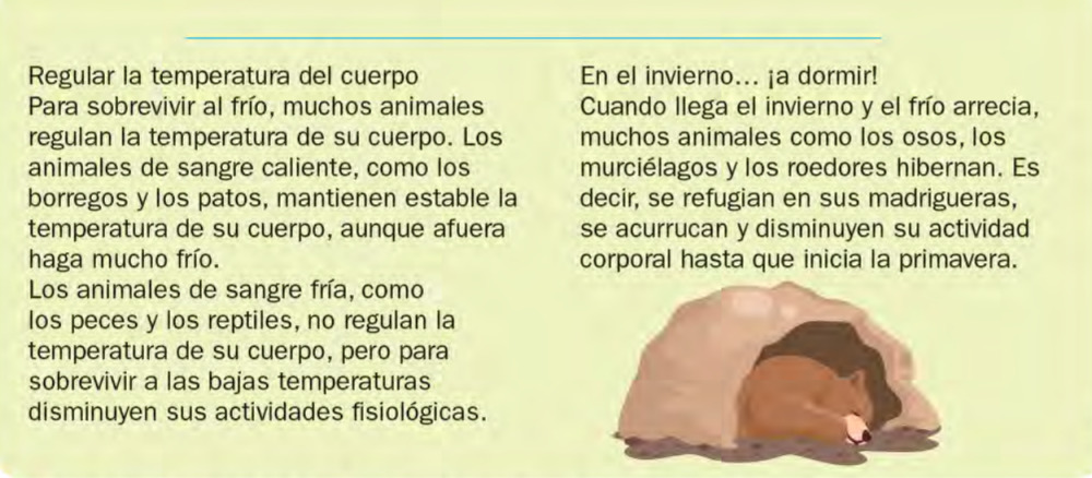 titulos y subtitulos . Ficha interactiva | TopWorksheets