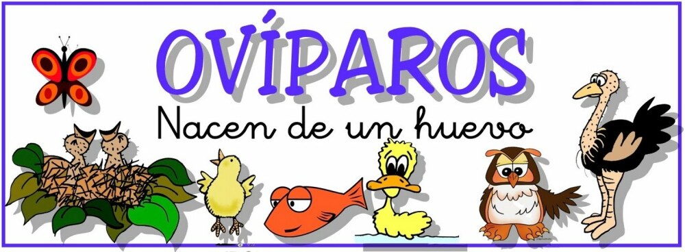 Animales VivÍparos Y OvÍparos Ficha Interactiva Topworksheets